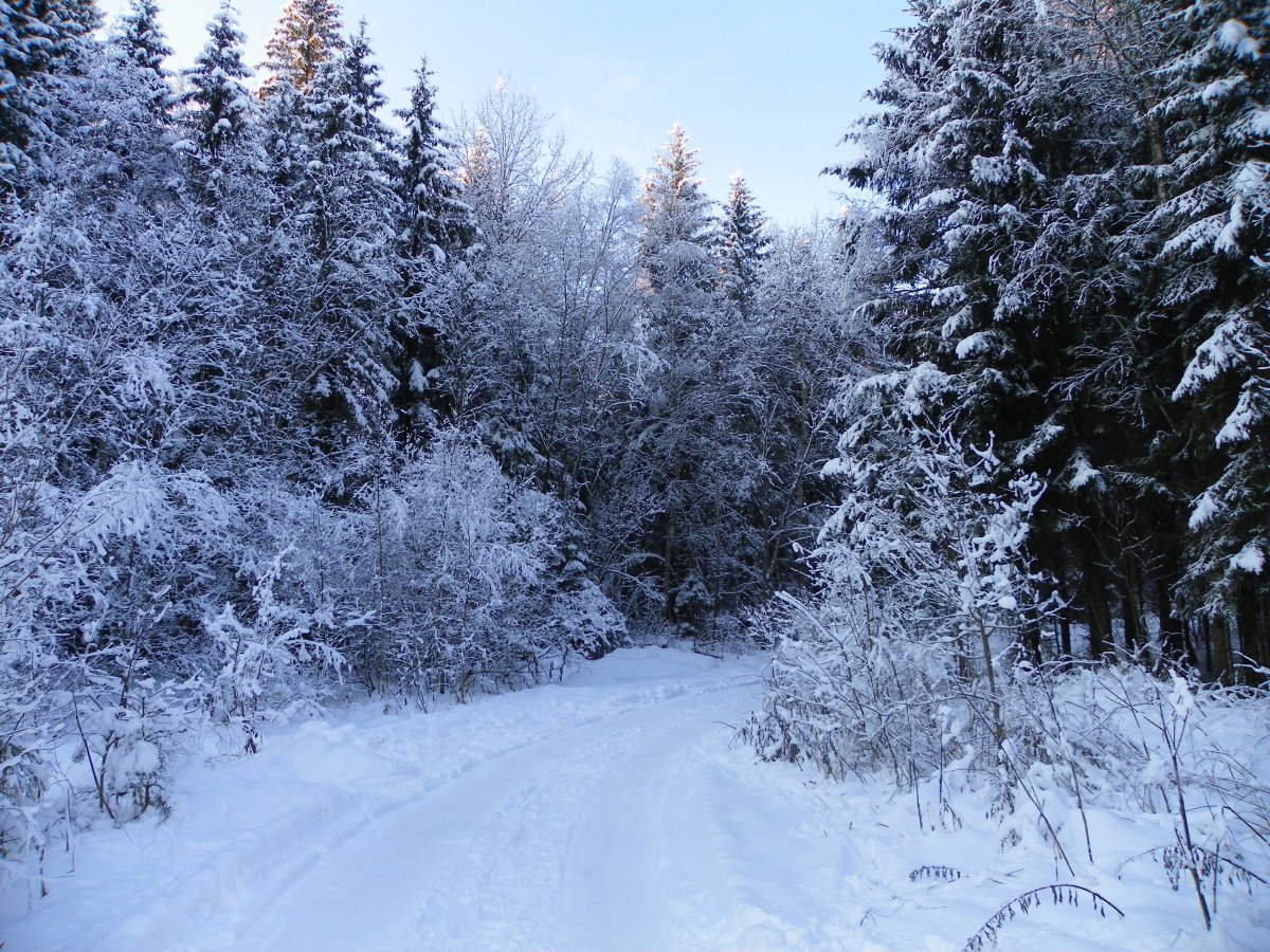 冬季道路转弯4k风景图片图片