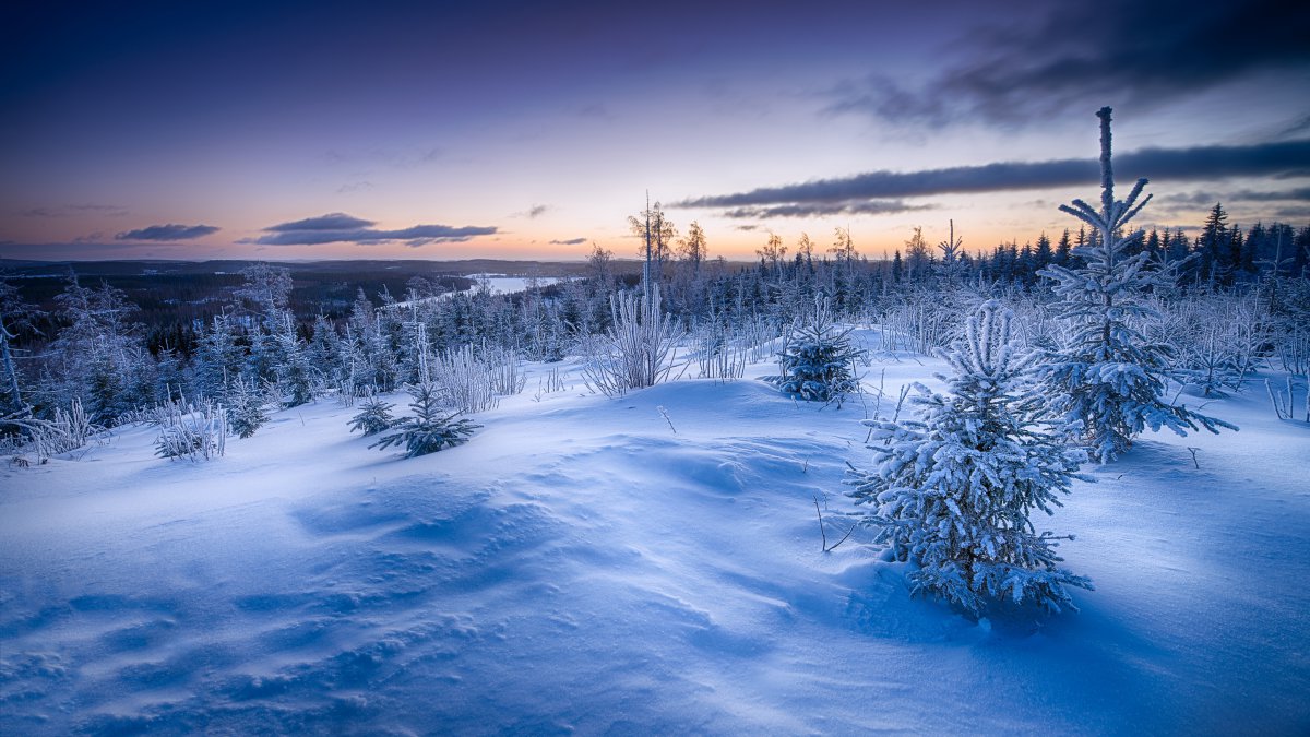 冬天的美景图片真实图片