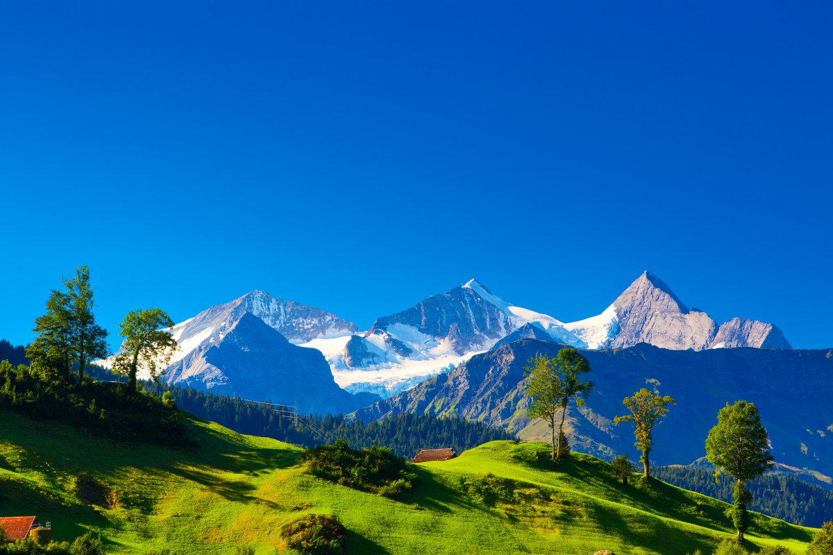 瑞士阿尔卑斯山山房子蓝色天空风景图片图片