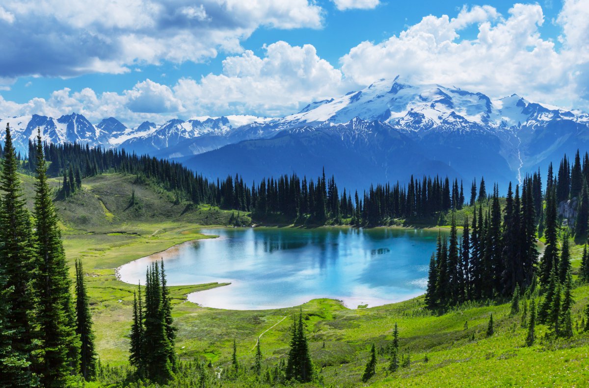 加拿大冰碛湖班夫国家公园湖泊森林风景5k风景图片
