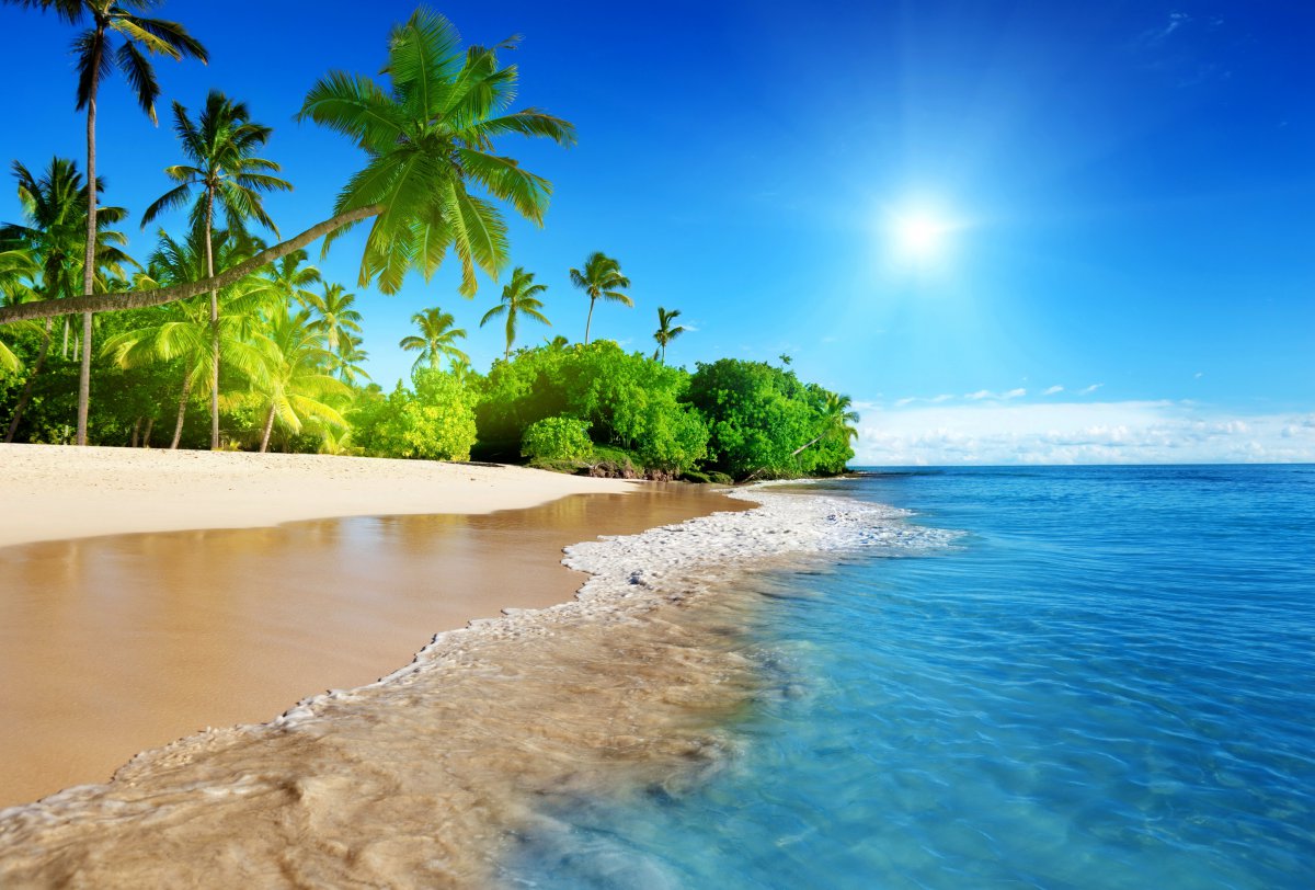 蔚蓝的大海阳光棕榈树沙滩海岸海洋天空5k风景图片
