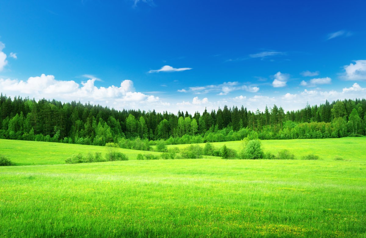 蓝天白云,草地,绿色自然风景高清图片图片