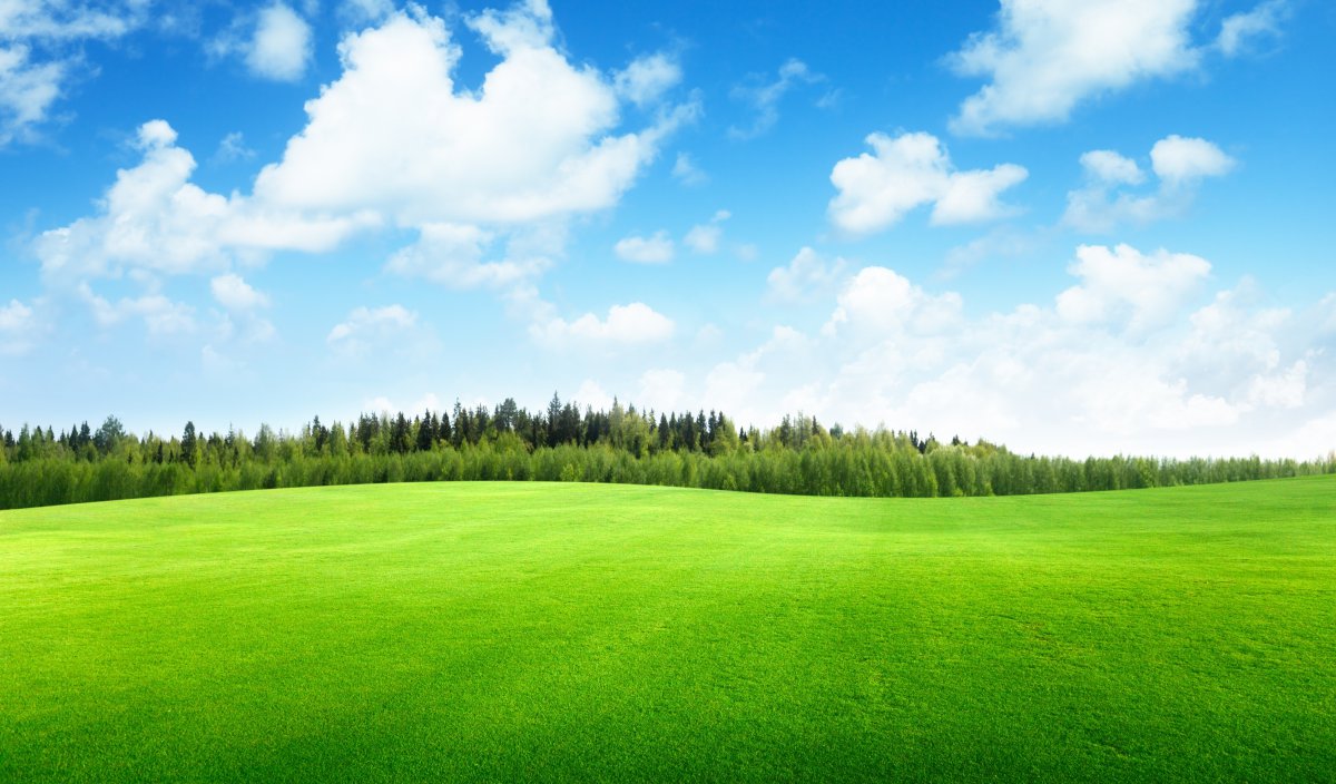 绿色草地,天空,云,树,美丽风景图片图片,4k高清风景图片,娟娟壁纸