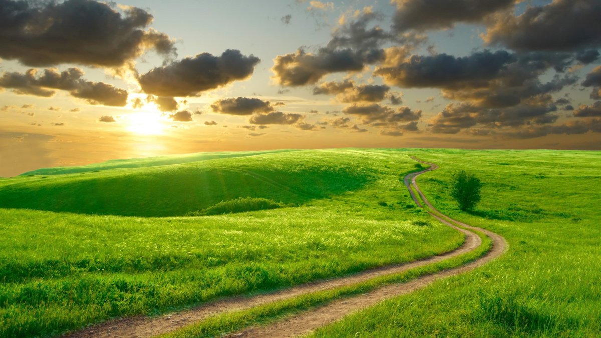 美丽的绿色草地丘陵道路云海日出风景4k图片