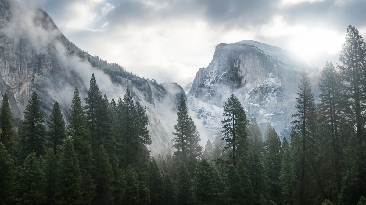 樹林 山 自然美景 4k圖片,4k高清風景圖片,娟娟壁紙