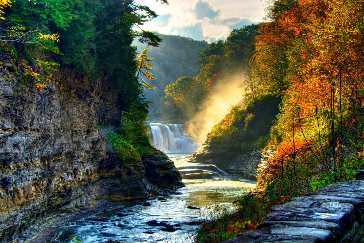 秋天森林阳光树木岩石悬崖瀑布美丽自然风景4k图片