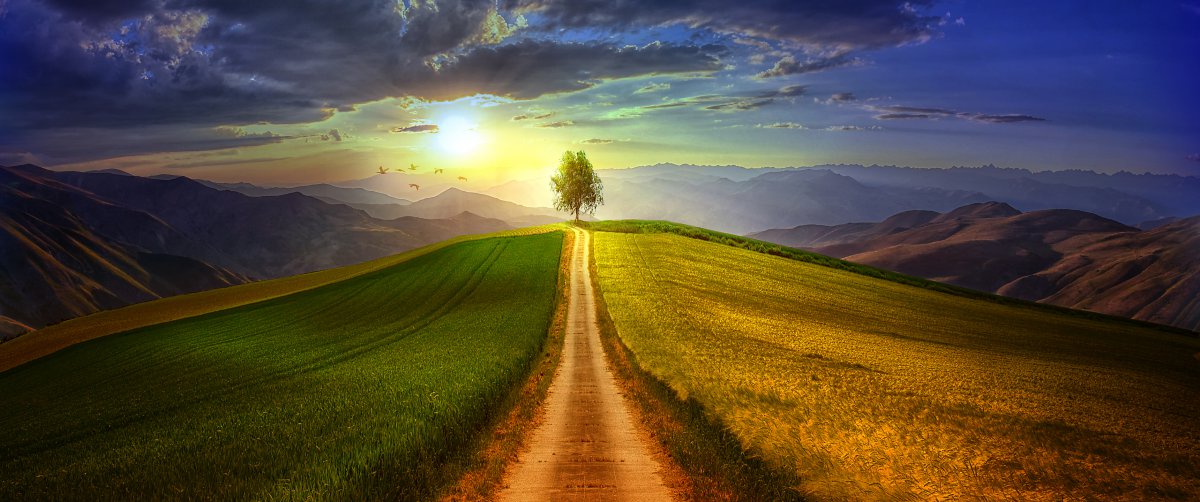 山上的树 路 天空 唯美风景图片