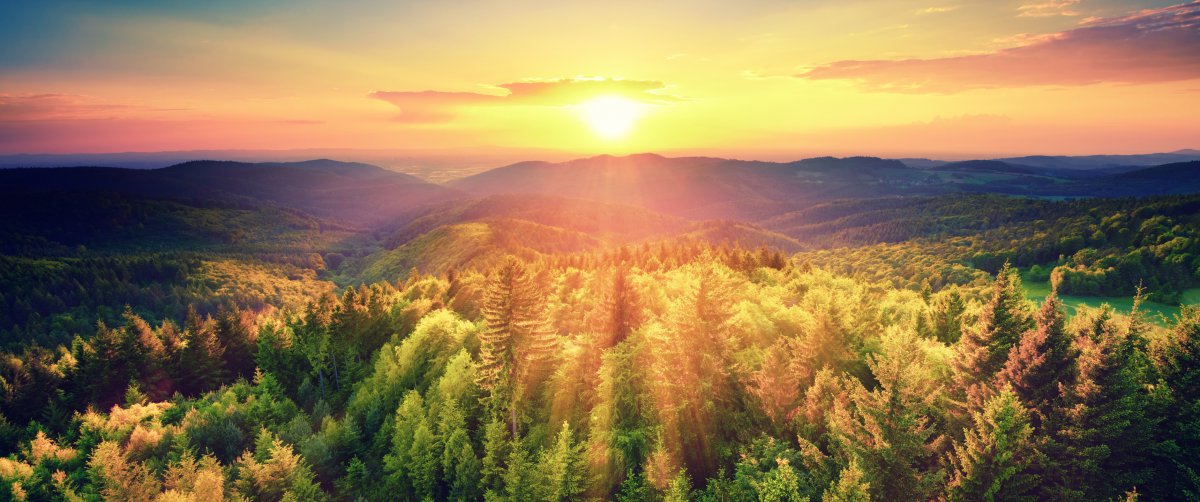 秋天森林风景如画日落图片