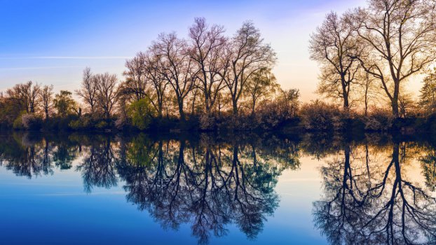 宁静的湖面树木倒影图片