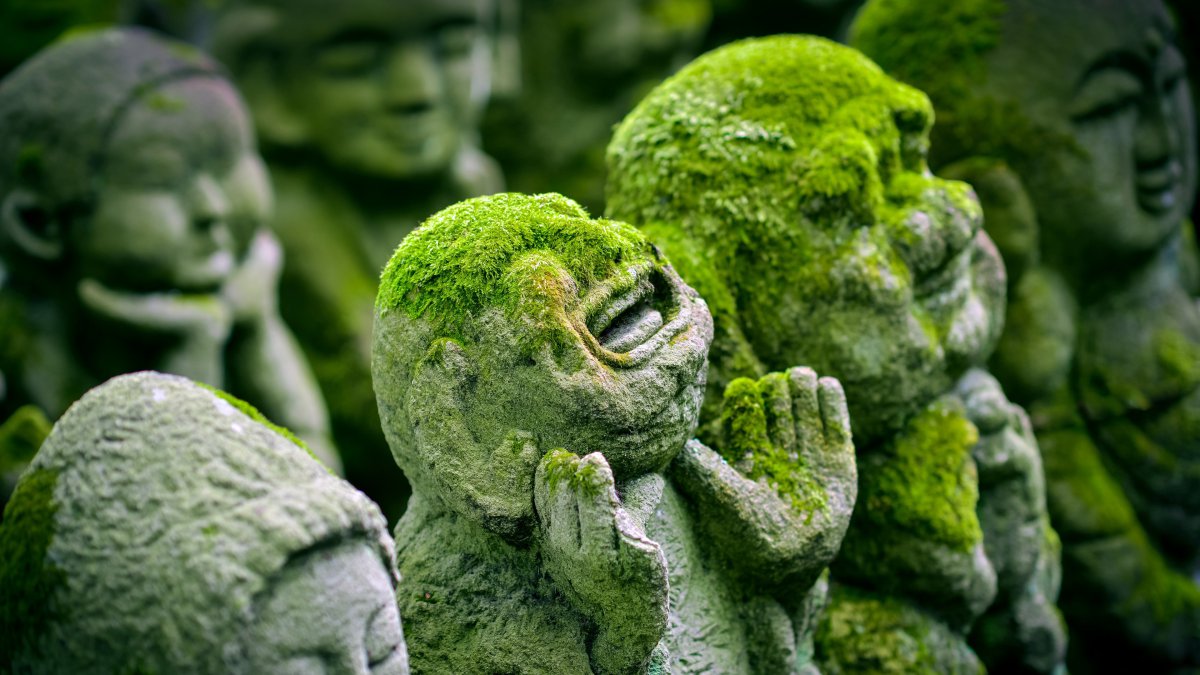 日本寺石雕像绿色青苔图片