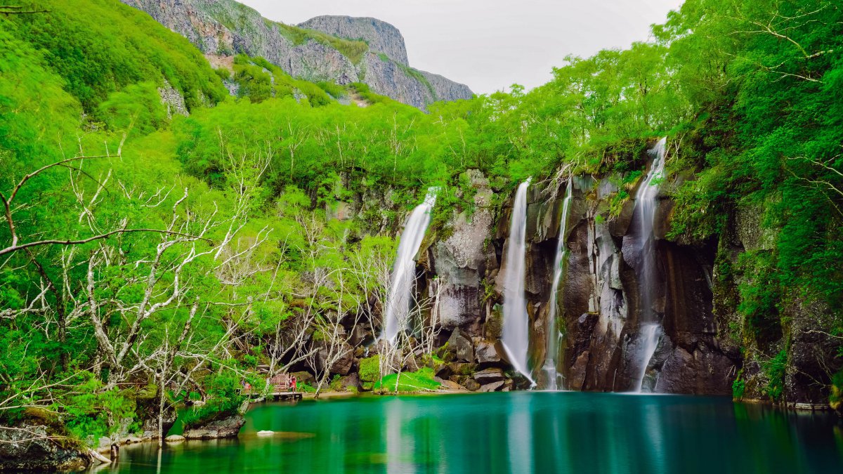 中国,长白山,湖,绿色,丛林图片,4k高清风景图片,娟娟壁纸