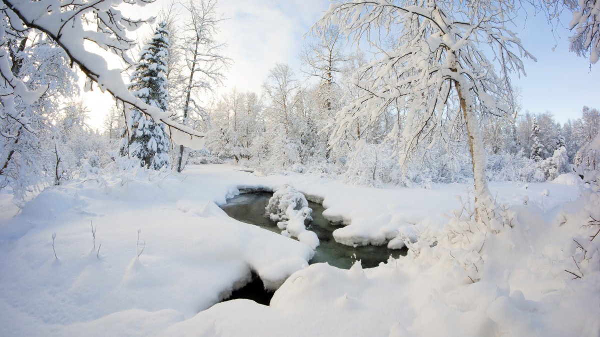 冬季阿拉斯加州雪森林河流图片