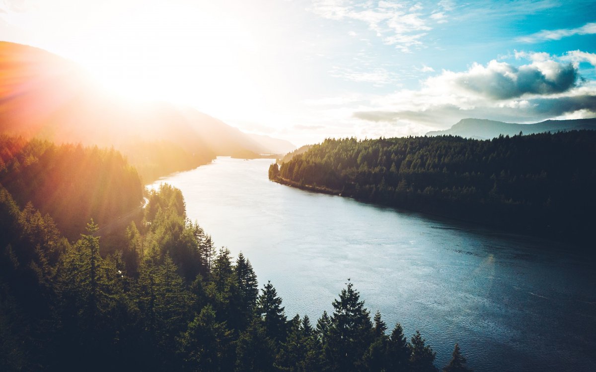 河畔两旁茂密的森林图片,4k高清风景图片,娟娟壁纸