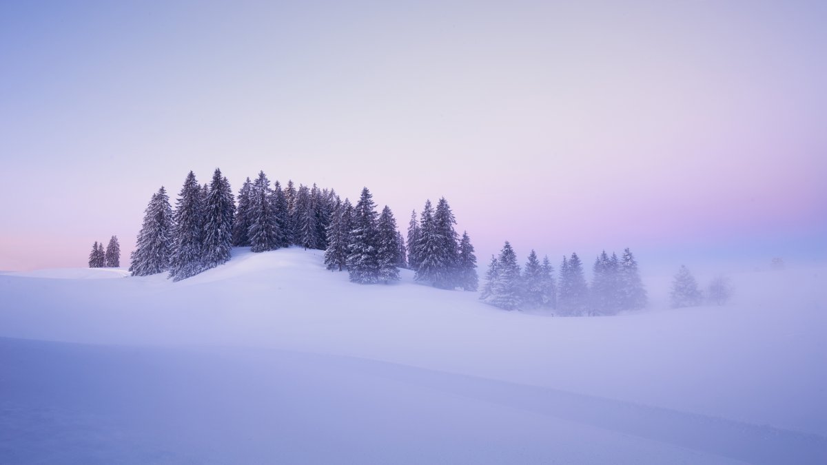 瑞士冬季雪树美丽冬天风景4k图片