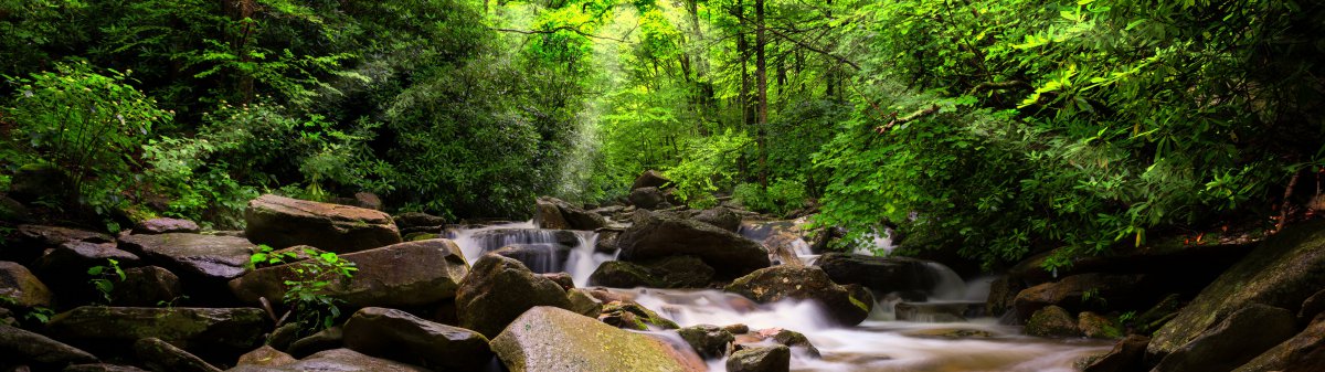 高清山涧溪流图片