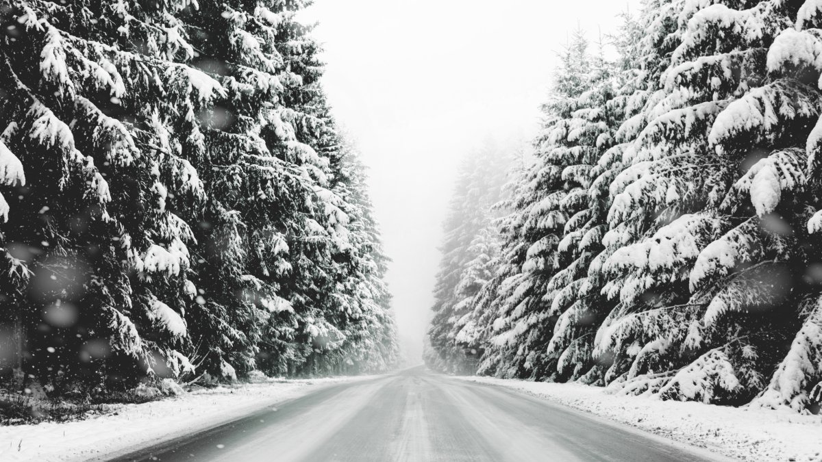 高清大雪覆盖的道路和森林图片,4k高清风景图片,娟娟壁纸
