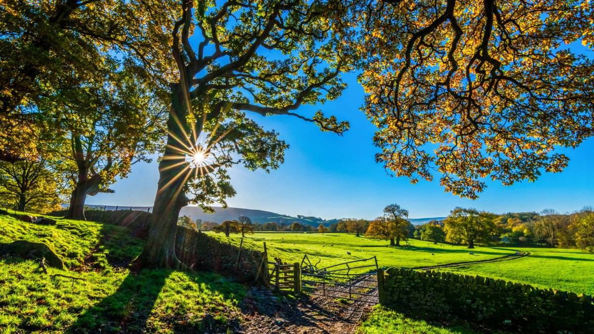 高清美丽的英格兰自然乡村风光图片