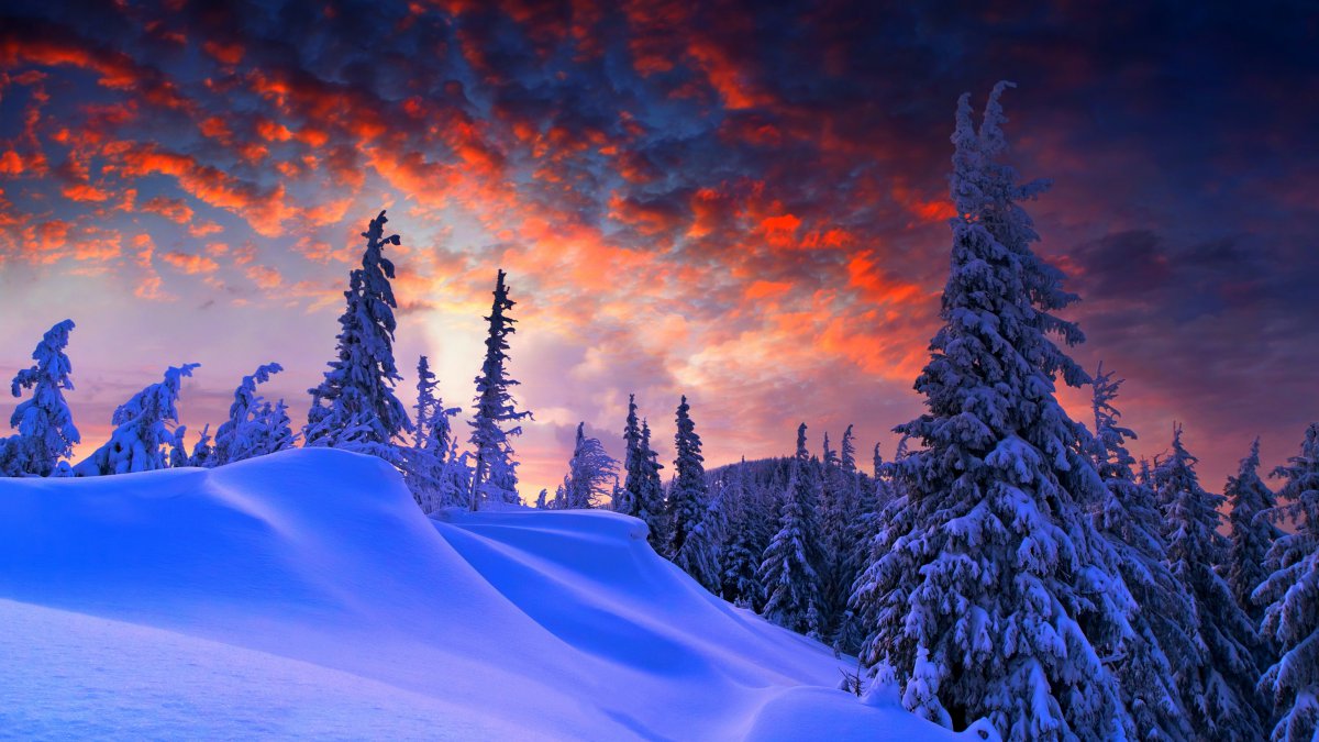 高清冬天的雪景图片