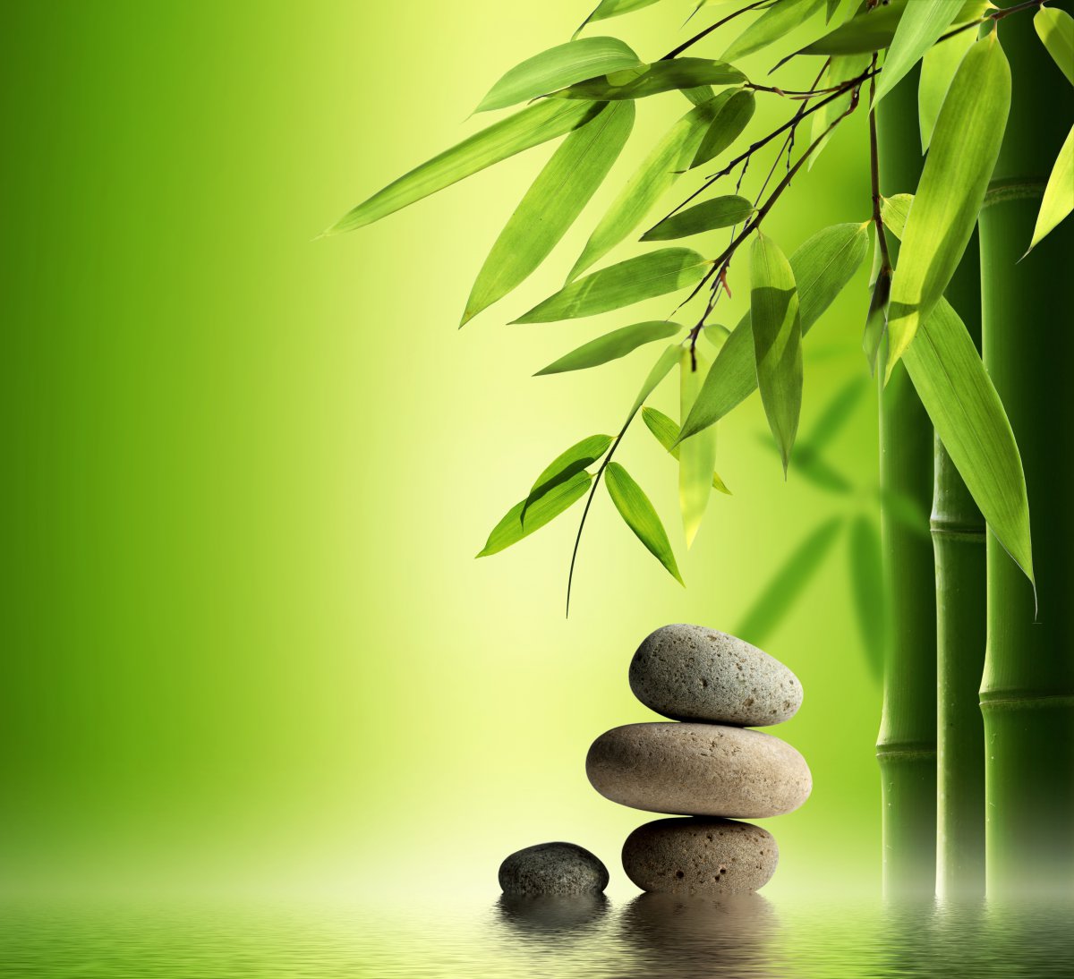 竹子石头水绿色背景图片图片