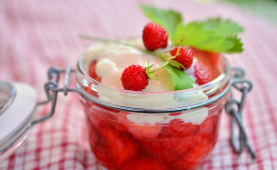草莓 野草莓 水果 维生素 美味 5K草莓图片图片