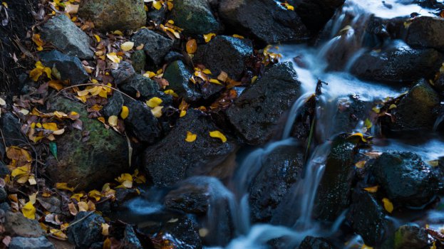 大瀑布 叶子 水 自然 天然水 4k图片