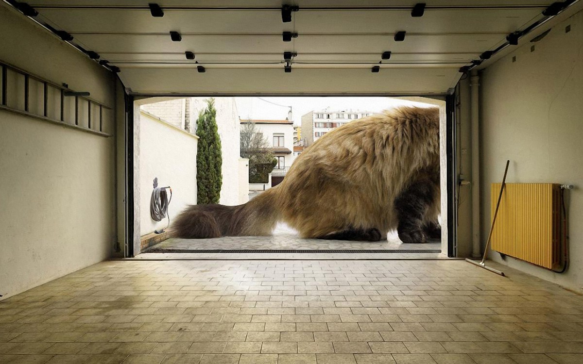 搞笑动物壁纸1220