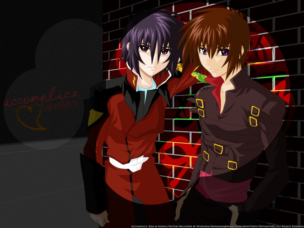 机动战士高达seed destiny(13/20)