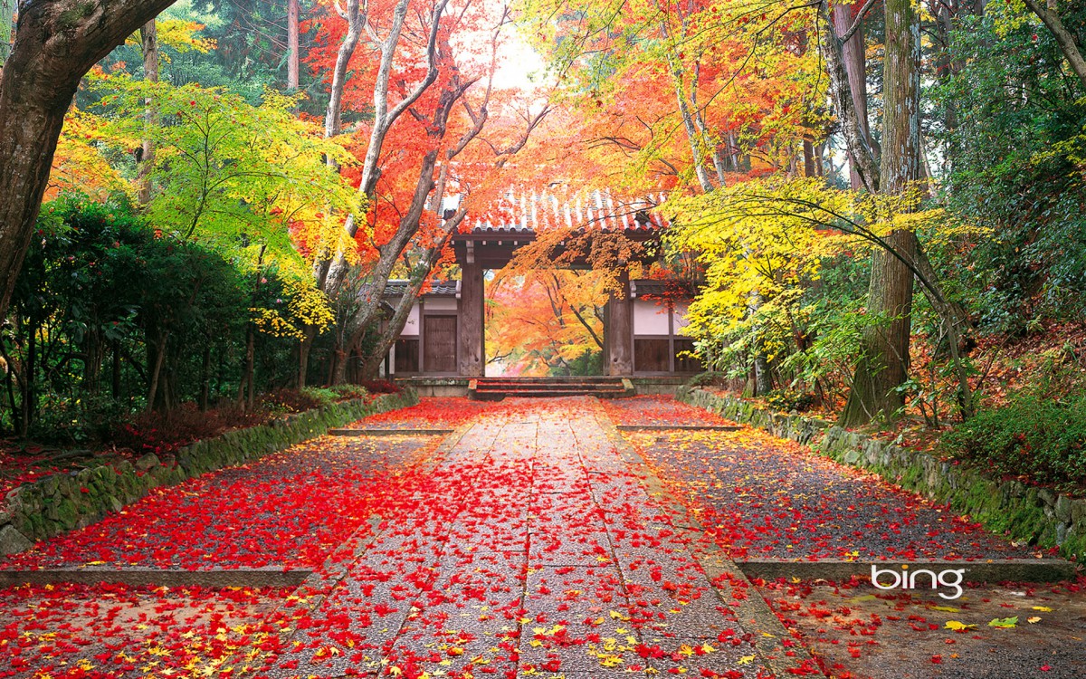 Bing日本风景主题壁纸 系统壁纸 高清系统图片 娟娟壁纸