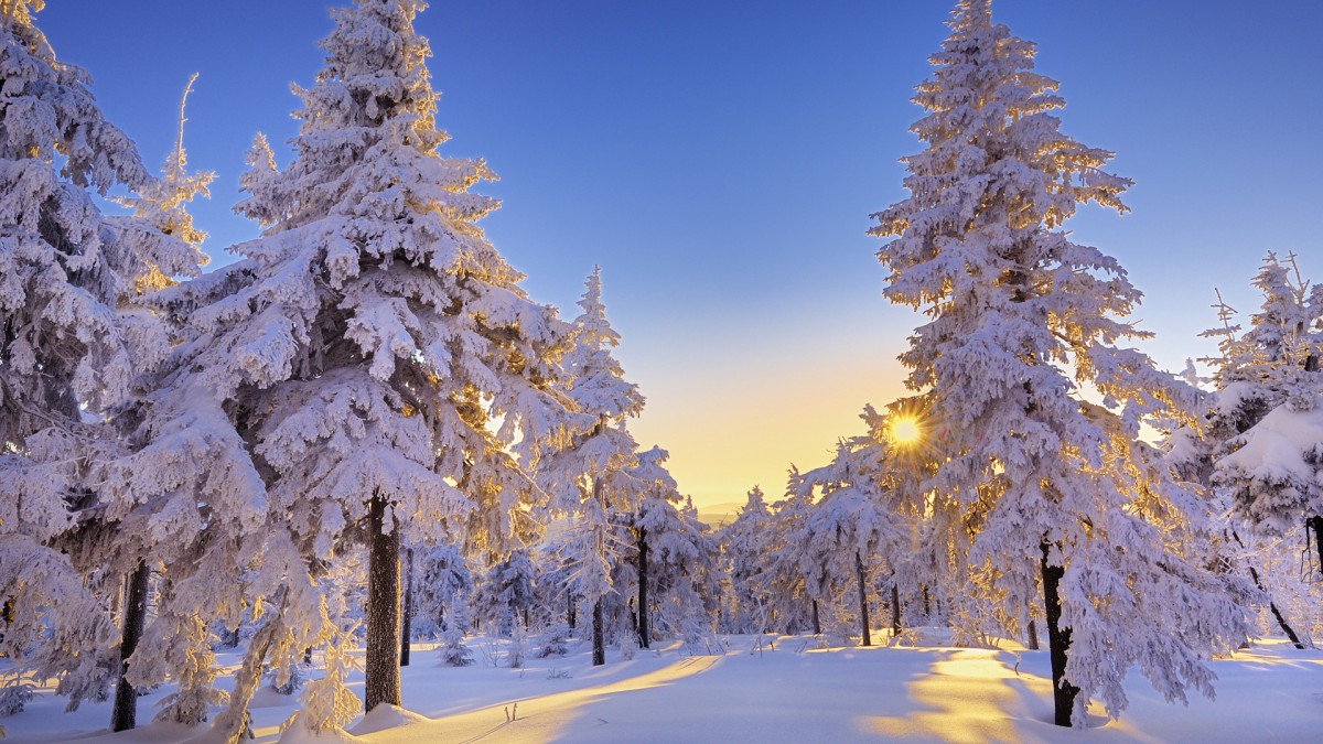 精美雪景风光壁纸-风景壁纸-高清风景图片-第17图-娟娟壁纸