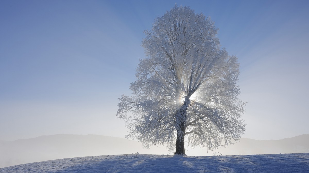 精美雪景风光壁纸