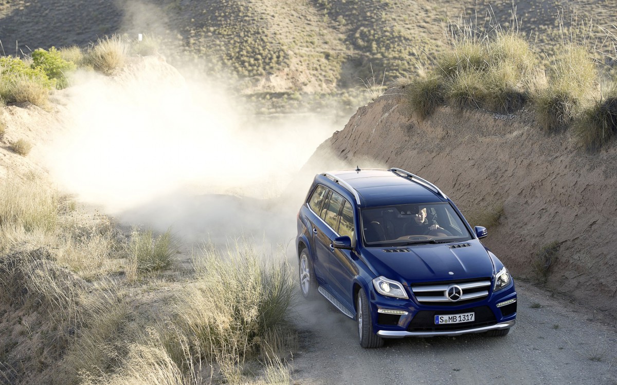 奔驰gl 350 bluetec 4matic汽车(12/20)