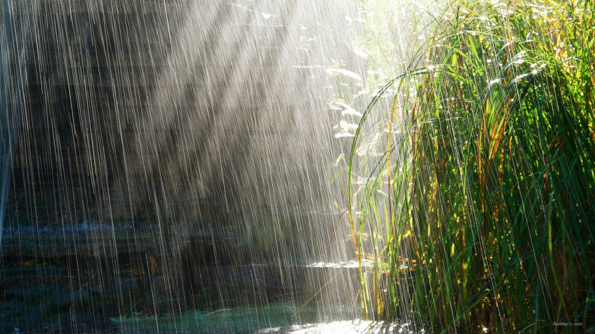 非常唯美的壁纸夏天的雨1720