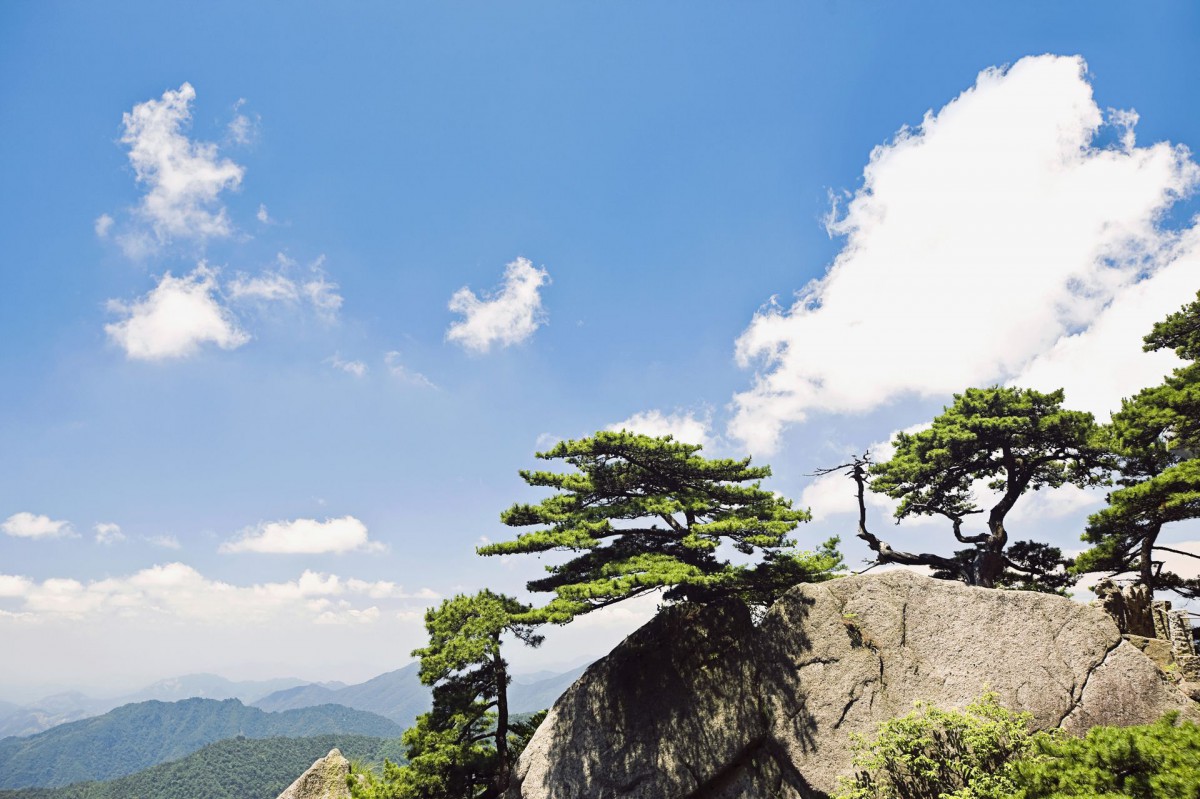 黃山國家地質公園風景-風景壁紙-高清風景圖片-第17圖-娟娟壁紙