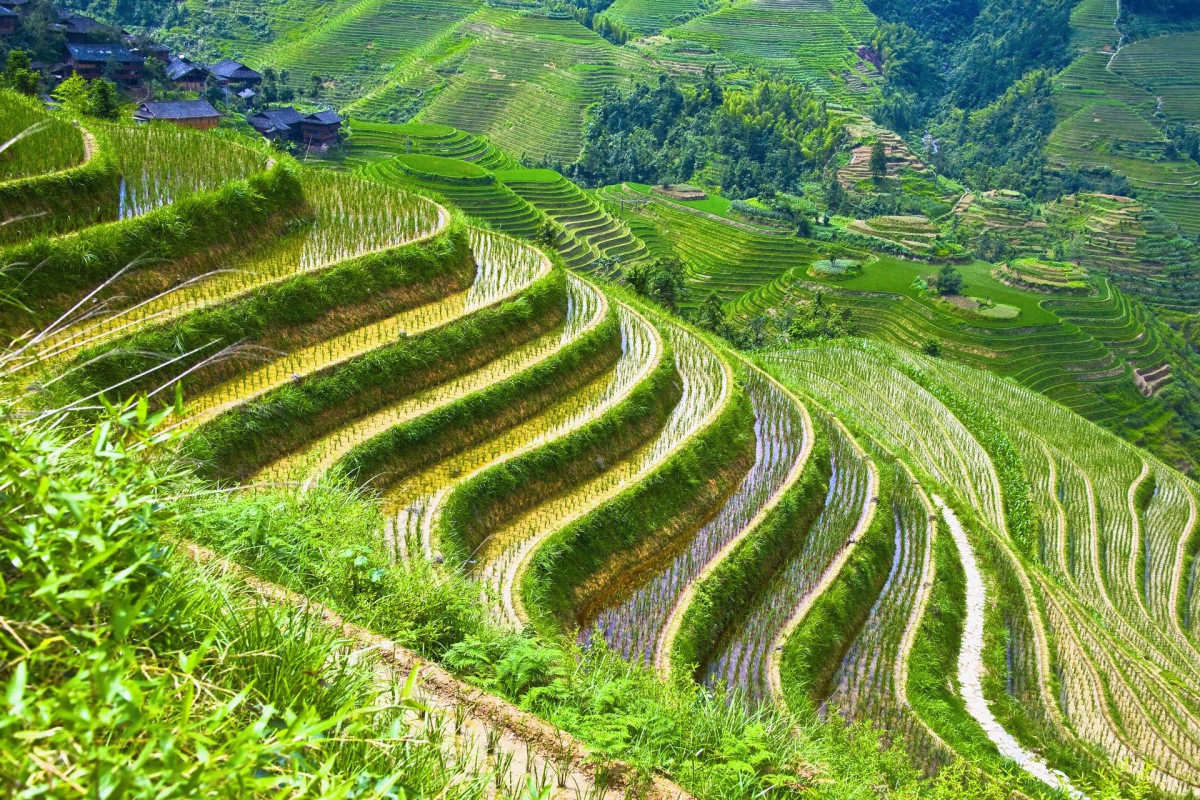 桂林龙胜龙脊梯田-风景壁纸-高清风景图片-第13图-娟娟壁纸