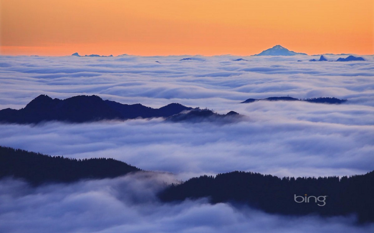 windows7bing官方主题壁纸820