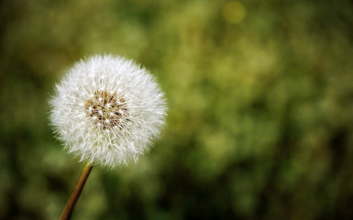 壁纸分辨率:(1920x1080))查看原图你的电脑分辨率(1600x1600)→生成