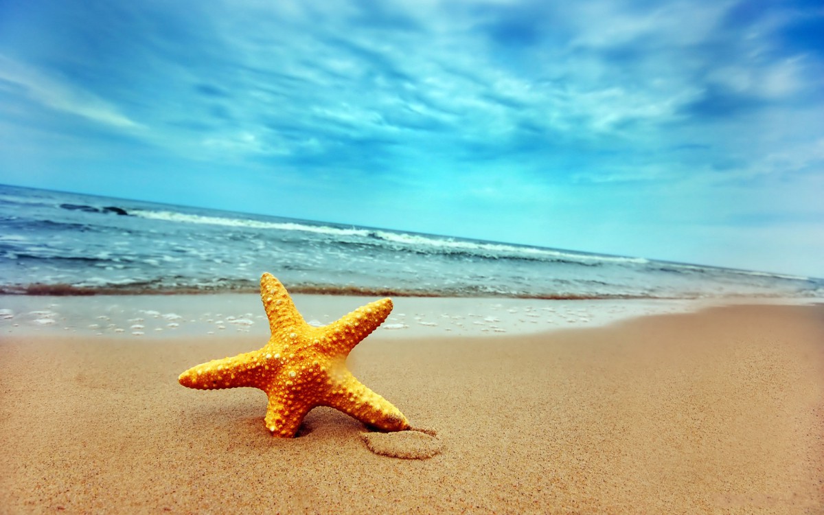 阳光海滩星星图片