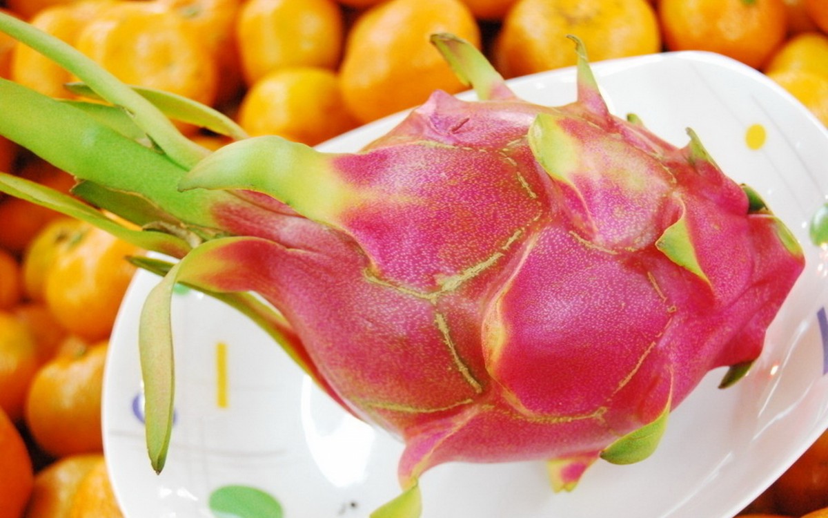 火龙果图片桌面壁纸(16/16)