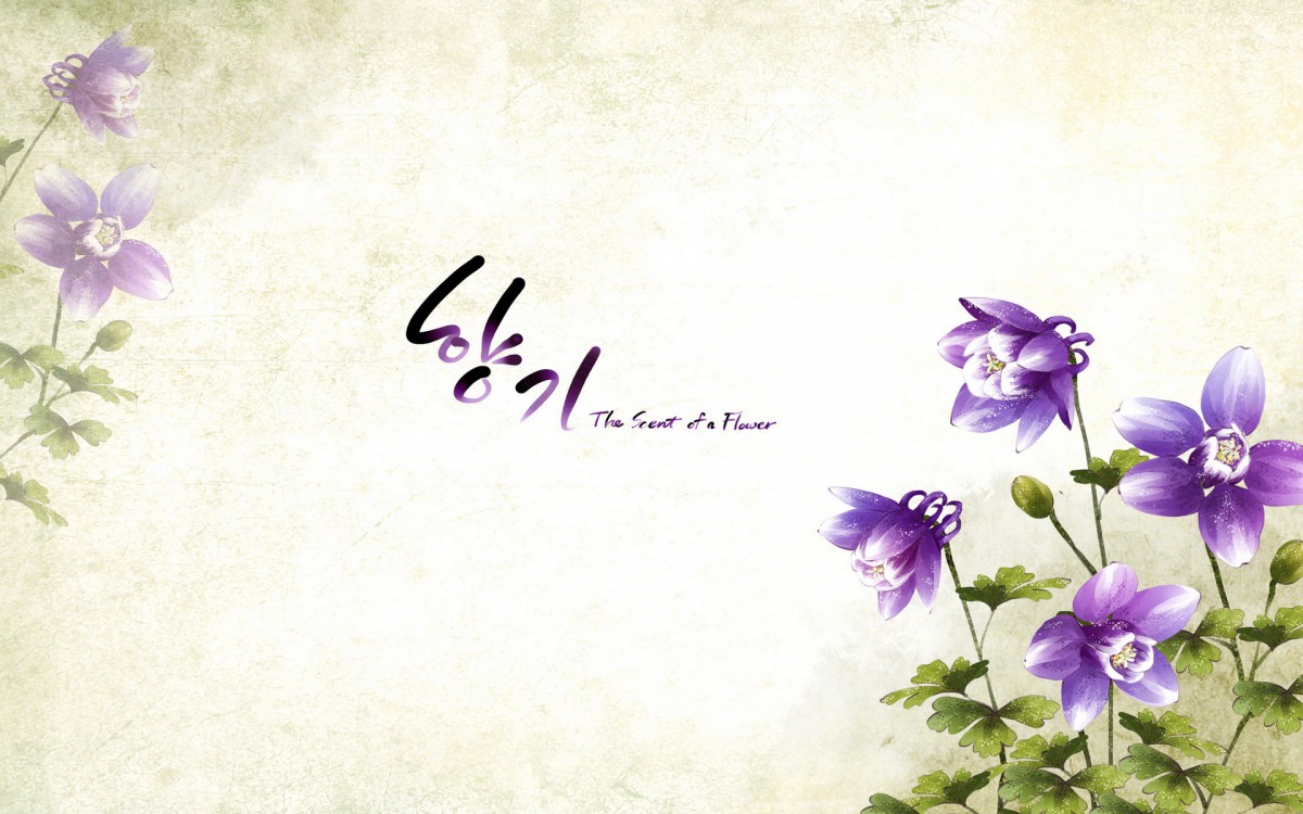 浪漫简约花朵信纸壁纸324