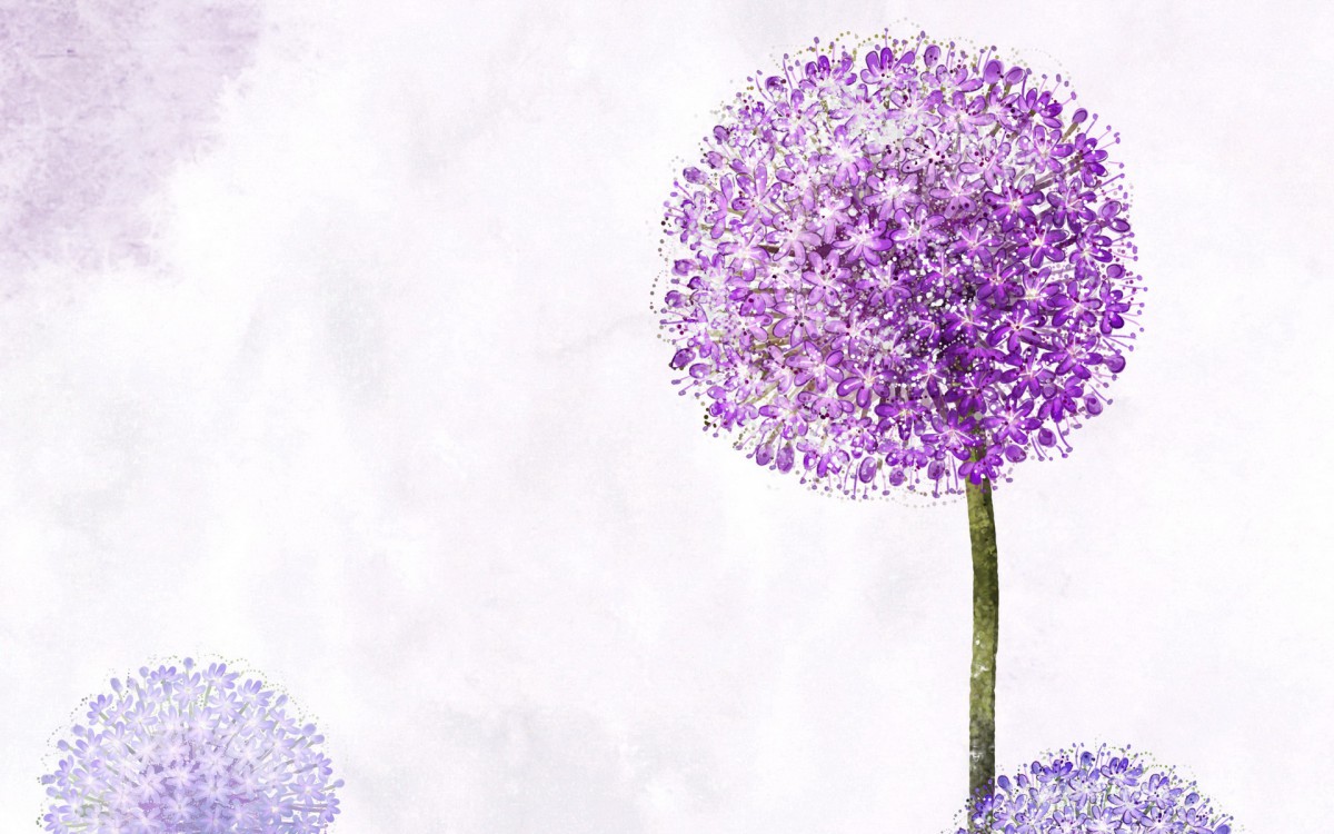 浪漫简约花朵信纸壁纸1024