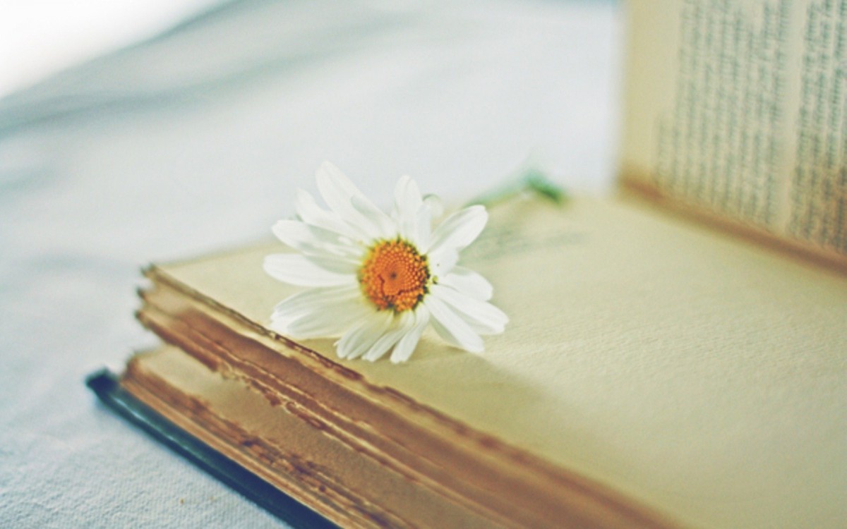 清香淡雅书本桌面壁纸620