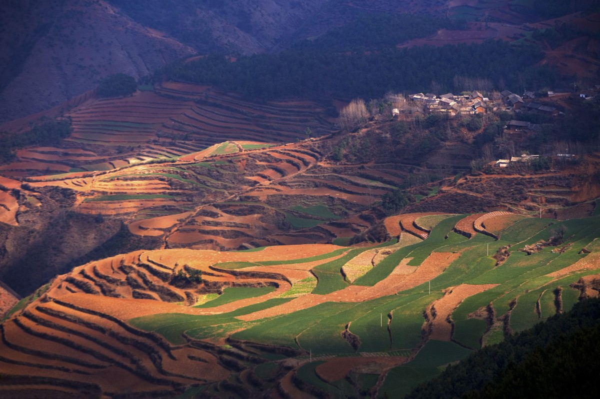 云南大山深处的红土地耕地(1/25)