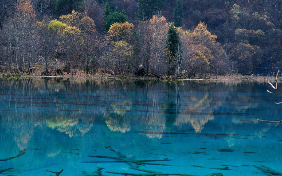 九寨沟风景照 大自然图片