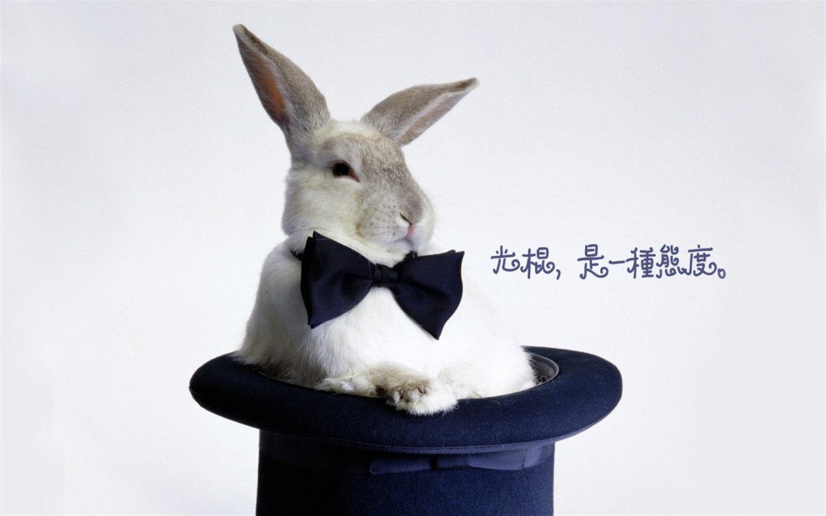 双11光棍节桌面壁纸820