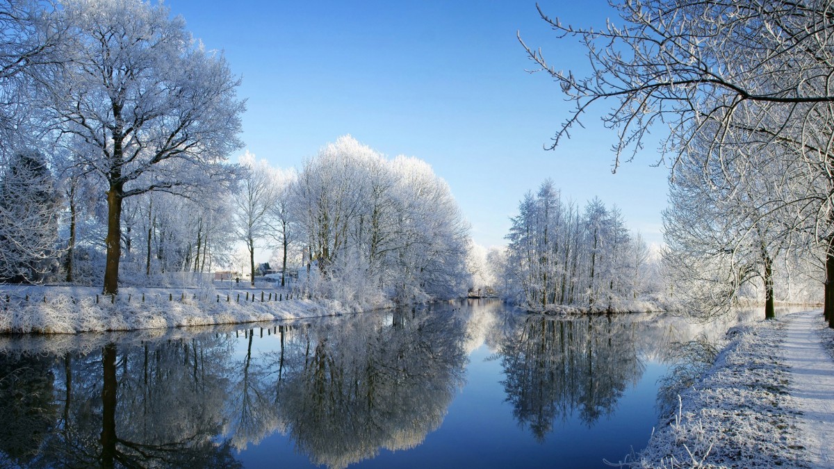 玉树琼枝雪景图片壁纸 风景壁纸 高清风景图片 娟娟壁纸