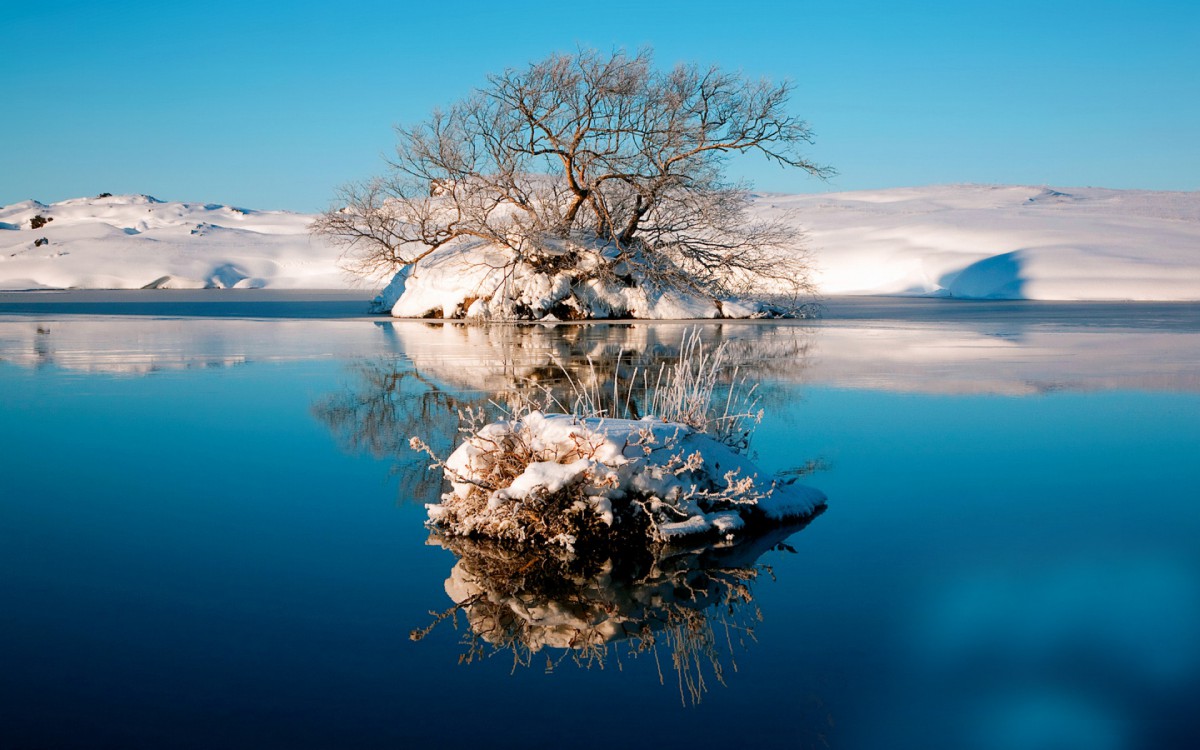 冬森雪湖图片