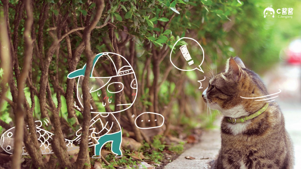 恶搞喵星人猫咪壁纸1524