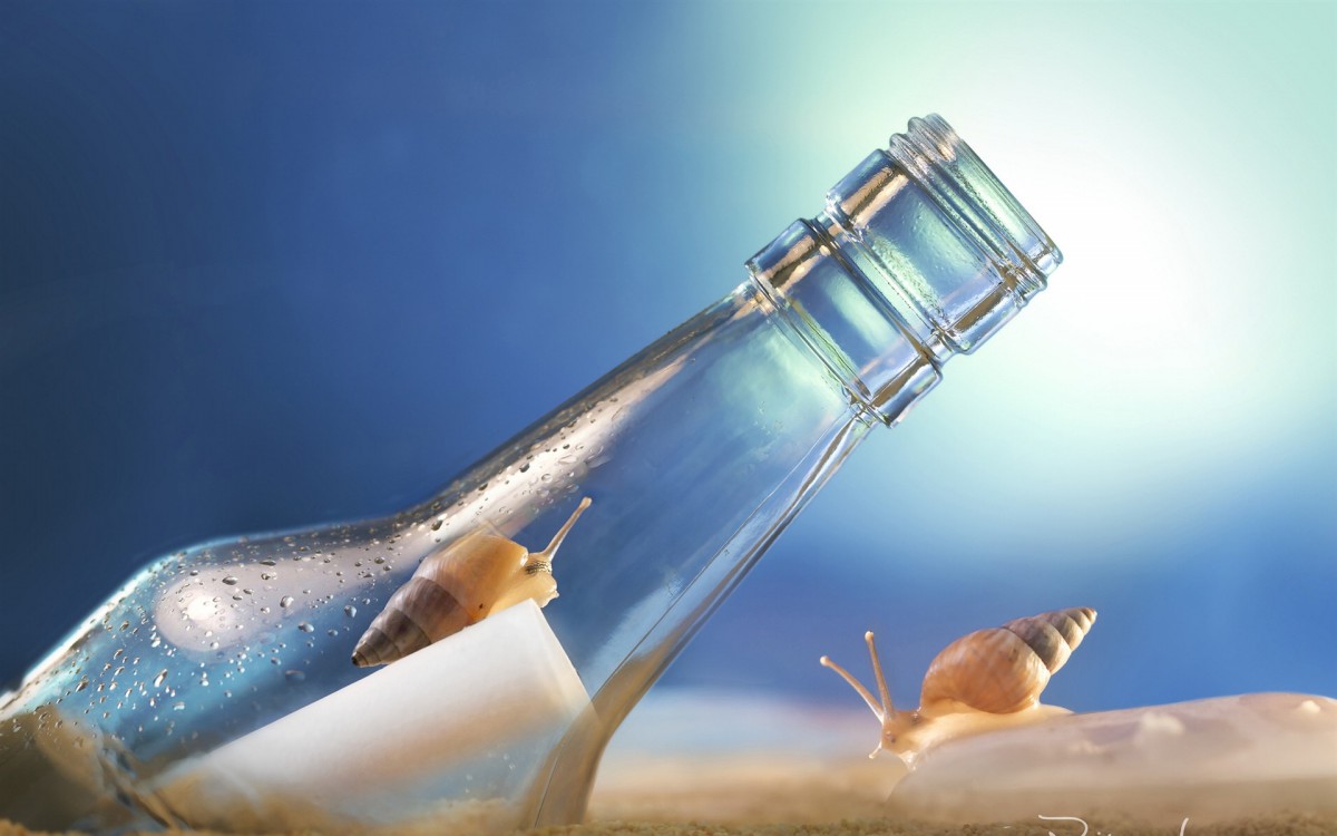 原图你的电脑分辨率(1600x1600)→生成壁纸显示:√欣赏模式全屏模式