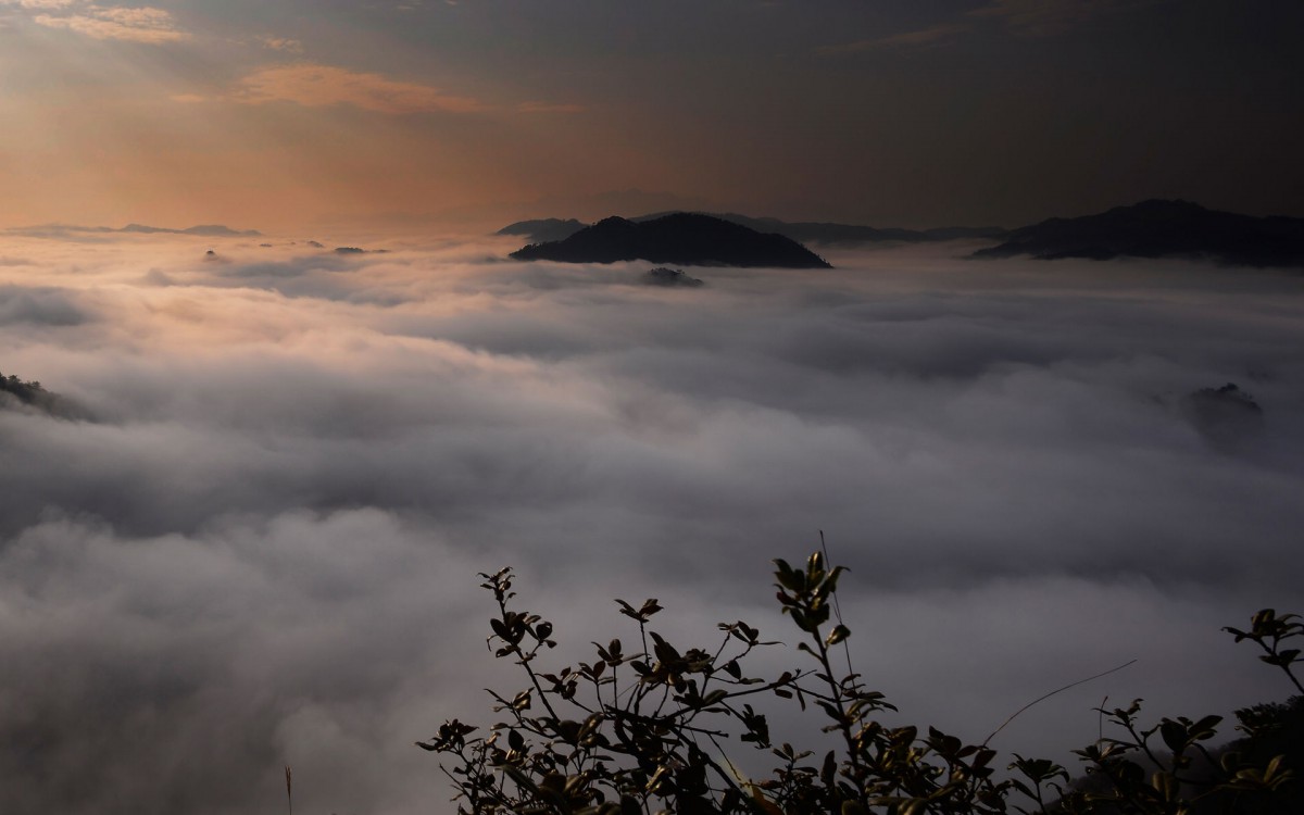 武夷山雲海風景壁紙58