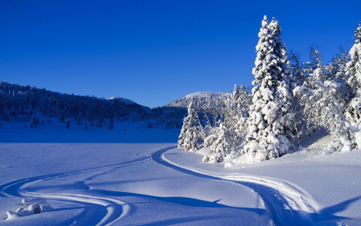 好看的雪景圖片壁紙1820